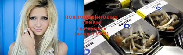 МДМА Козловка